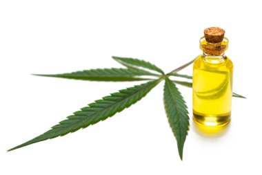 Kenevir yaprağı ve sarı yağlı cam deney şişesi. Marihuananın yasallaştırma ve yararlı özellikleri kavramı. Vahşi kenevir ve testler. Beyaz arkaplan.