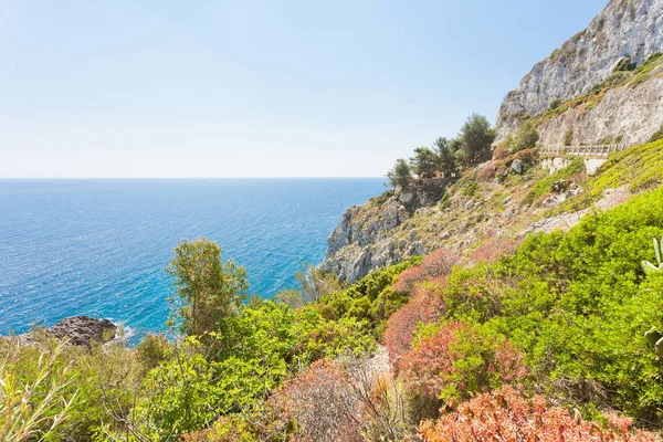 プーリア イタリア レウカ Ciolo Ciolo の海岸植生 — ストック写真