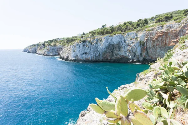 Apulie Grotta Zinzulusa Itálie Pobřeží Slavnou Jeskyni Zinzulusa — Stock fotografie