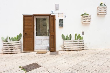 Specchia, Apulia, İtalya - 29 Mayıs 2017 - kaktüsler bir evin giriş kapısı önünde dikildi