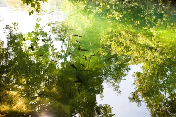 Krka, Sibenik, Croatia - Light reflection upon the river surface — Stock Photo, Image