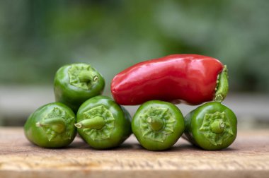 Capsicum annuum Jalapeno biber biber, yeşil ve kırmızı meyve ahşap kesme tahtası, Meksika mutfağı üzerine Grup