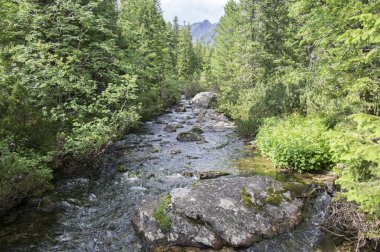 Dağ dere Krupa Tatra Dağları, Slovakya