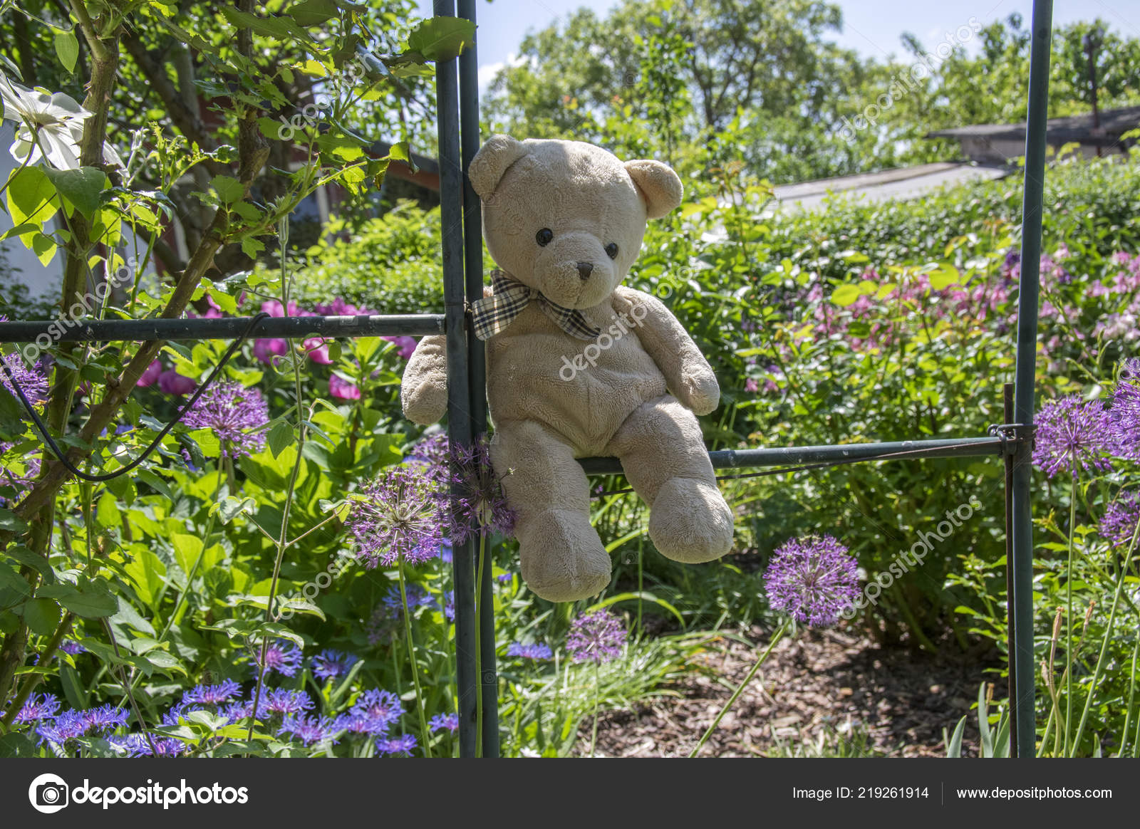 teddy bear garden