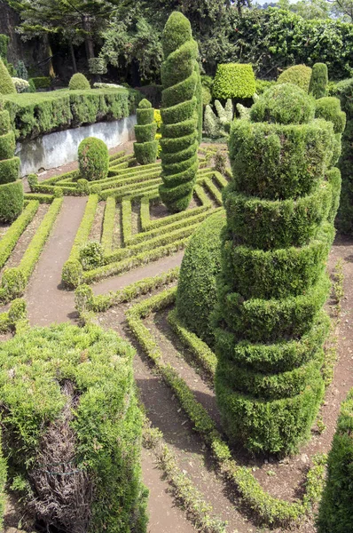 Ogród Botaniczny Madeira Funchal Madera Kwietnia 2017 Wyciąć Madery Ogrodu — Zdjęcie stockowe