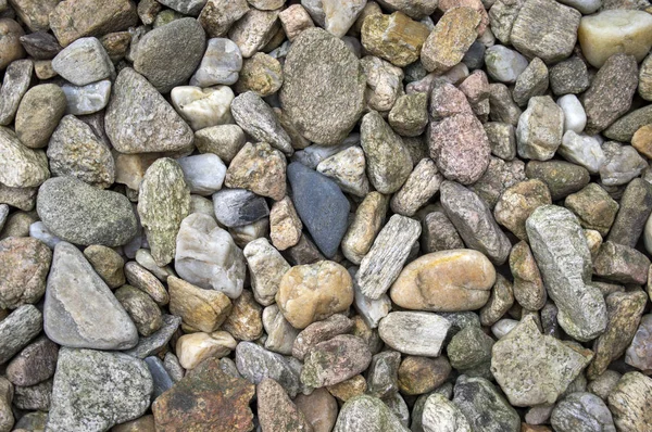 Grupo Seixos Cores Claras Fundo Pedra Pedras Redondas Lisas Textura — Fotografia de Stock