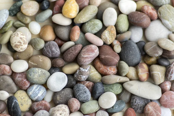 Małe Kamyczki Kolorowe Tło Prostota Kamień Świetle Dziennym Różne Kolory — Zdjęcie stockowe