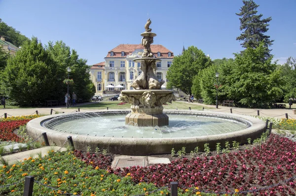 Stone Spa Marble Historic Horse Fountain Town Teplice Cechach Czech — Stock Photo, Image