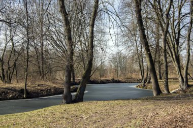 Nemosicka stran orman kış saati, dalları, yolu düşünce şaşırtıcı doğal alan, rahatlatıcı yer, kısmen donmuş oxbow Gölü Chrudimka Nehri üzerinde gün ışığına ucunda