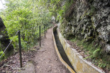 Levada Forado, turistik hiking trail, Ribeiro Frio, Madeira Adası, Portekiz