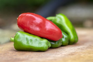 Capsicum annuum Jalapeno chilli hot peppers, group of green and red fruits on wooden cutting board, mexican cuisine clipart