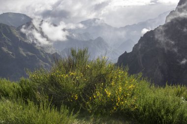 Pico Arieiro hiking trail, şaşırtıcı sihirli manzara inanılmaz hit, kayalar ve sis, kayaların arasındaki vadi görünümünü yapmak