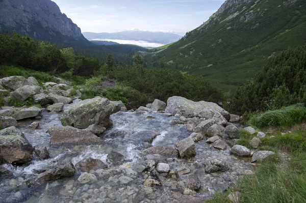 Mengusovska Dolina Hincov Potok Amazing Stony Hiking Trail Hight Mount — Stock Photo, Image