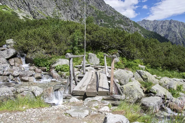 Mengusovska Dolina Hincov Potok Incroyable Sentier Randonnée Pierreux Pour Monter — Photo