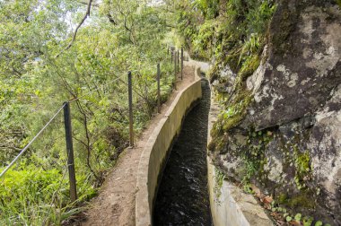 Levada Forado, turistik hiking trail, Ribeiro Frio, Madeira Adası, Portekiz