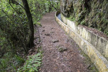 Levada Forado, turistik hiking trail, Ribeiro Frio, Madeira Adası, Portekiz