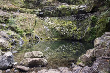 Levada Forado, turistik hiking trail, Ribeiro Frio, Madeira Adası, Portekiz