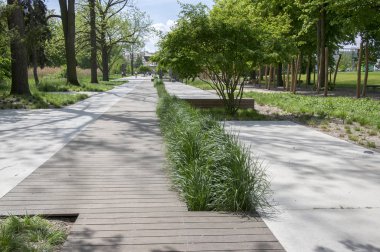 Yaz saati, yeşil alan, yol atmak ve tezgah, güneşli, mavi gökyüzü Parkı