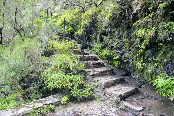 Stairs Levada Das Fontes Touristic Hiking Trail Rabacal Madeira Island — Stock Photo, Image