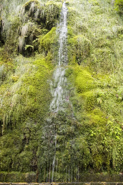 Levada Forado Pequeña Cascada Sendero Turístico Ribeiro Frio Isla Madeira —  Fotos de Stock