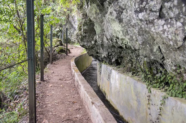 Levada Forado Touristic Hiking Trail Ribeiro Frio Madeira Island Portugal — Stock Photo, Image