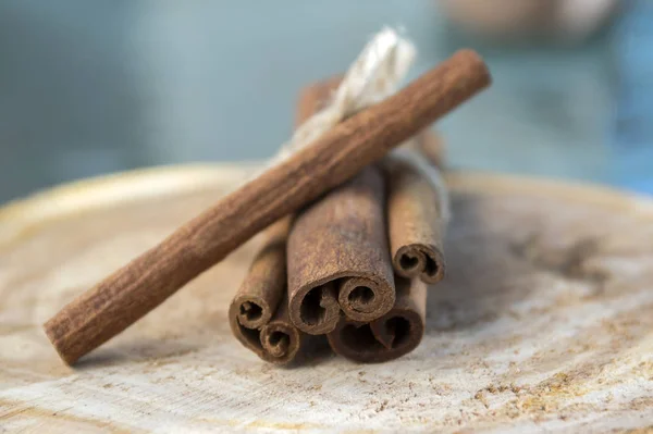 Fresh raw cinnamon sticks on wooden roung log slice tied with jute natural twine