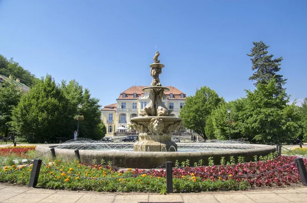 Stone Spa Marble Historic Horse Fountain Town Teplice Cechach Czech — Stock Photo, Image