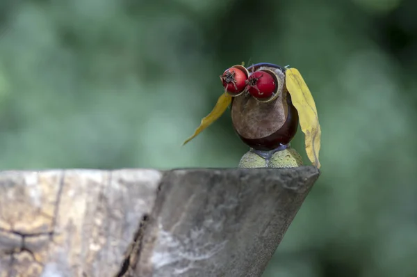 Kasztan Zwierząt Drewniane Kikut Sowa Wykonana Kasztan Żołądź Żółte Liście — Zdjęcie stockowe
