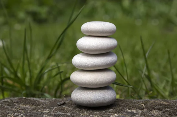 Harmonie Und Gleichgewicht Einfacher Kieselturm Gras Einfachheit Fünf Steine — Stockfoto