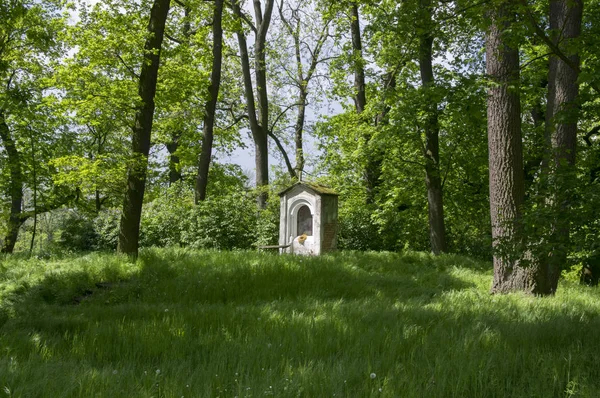 Saint Nicholas Chapel Kacina Chateau Public Park Czech Republic — Stock Photo, Image