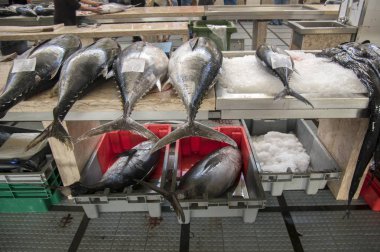 Mercado dos Lavradores balık pazarı, Funchal / Madeira - 22 Nisan 2017: tunas boş fiyatlarla satış sayaç