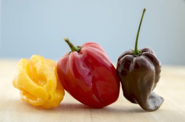 Üç habanero çok sıcak biber kırmızı biber chinenses ahşap masa üzerinde bir satırda olgunlaştı