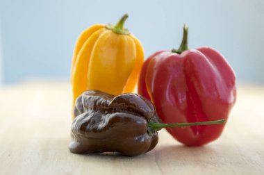 Üç habanero çok sıcak biber, ahşap masa üzerinde olgunlaşmış kırmızı biber chinenses