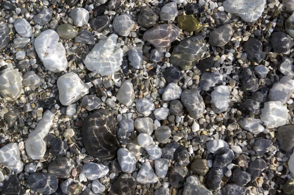 Grupo Pedras Brancas Cinza Marrom Claro Fundo Praia Seixos — Fotografia de Stock