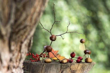 Kestane hayvanlar ahşap güdük, geyik ve dişi geyik yapılan kestane, meşe palamudu ve twigs, barberries ve rose hips gibi sonbahar kırmızı meyveler ile yeşil arka plan