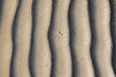Kum doku. Arka plan bej ince kum. Kum üzerinde dalgaların keskin çizgiler. Kum plaj yüzeyi, yukarıdan görüntüleyin. Sandy yapısına açık havada bir gündoğumu zaman. Geometrik desen.