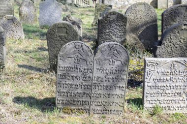 Horice şehir / Çek Cumhuriyeti - 7 Nisan 2018: Old Jewish Cemetery Horice şehirde çok büyük ve iyi korunmuş