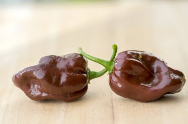 Ahşap masa, Habanero çikolata üzerinde olgunlaşmış capsicum chinenses çok sıcak biber grubu