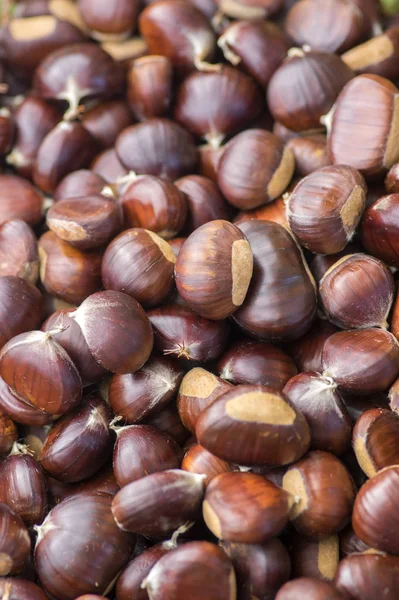 Castanhas Doces Cruas Dispersas Nozes Acastanhadas Saborosas Saudáveis — Fotografia de Stock