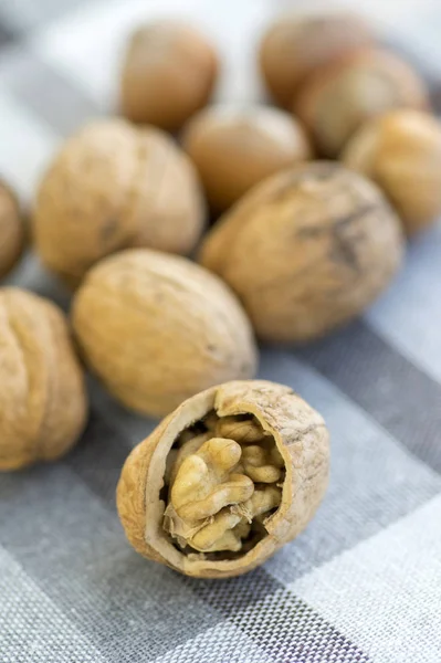 Walnuts in hard shells, pile on checkered tablecloth, one walnut with broken shell