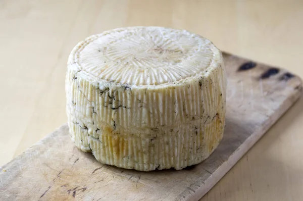 Pecorino Kaas Houten Tafel — Stockfoto