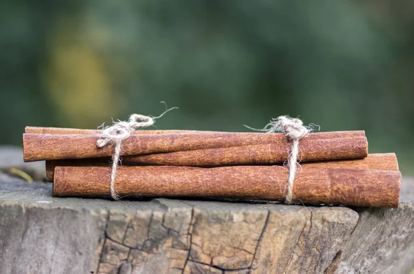 Fresh raw cinnamon sticks on wooden stump, sticks tied with two jute natural twines