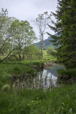 Dolomites, İtalyan Alpleri, sulak küçük göletler ile
