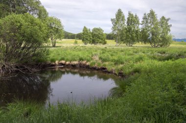 Dolomites, İtalyan Alpleri, sulak küçük göletler ile