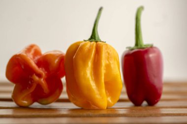 Üç sıcak biber habanero ve jalapeno, çeşitli renk ahşap masa, Meksika mutfağı çok sıcak malzemeler, olgunlaşmış ve unripened meyveler, kırmızı, turuncu ve sarı