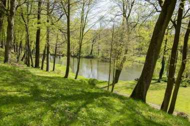 Chotebor içinde kamu bahçeleri ile bahar mevsiminde, romantik bir sahne, gölet yansımaları su