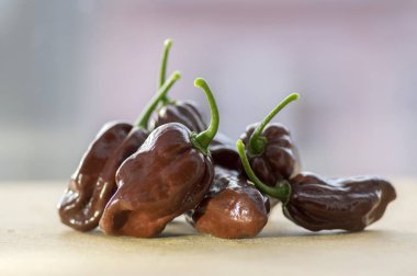 Ahşap masa, Habanero çikolata üzerinde olgunlaşmış capsicum chinenses çok sıcak biber grubu