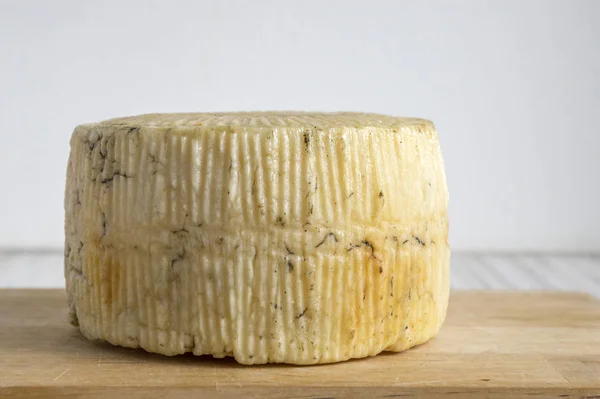 Pecorino Kaas Houten Tafel — Stockfoto