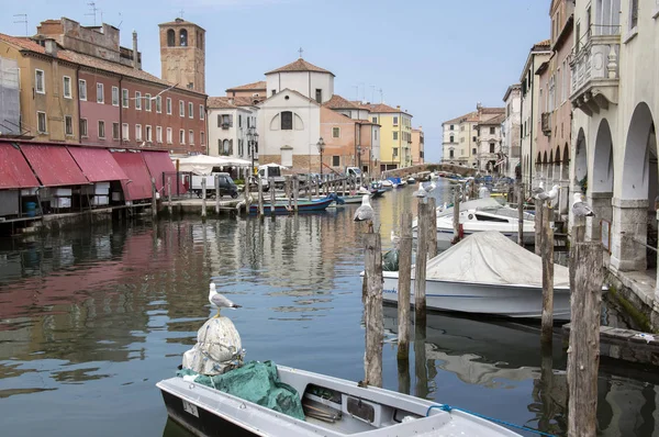 Junio 2017 Temprano Noche Las Calles Chioggia Escena Romántica Con —  Fotos de Stock