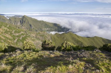 Pico Ruivo yürüyüşü, bulutların üstünde, inanılmaz sihirli manzara, inanılmaz manzaralar, alçak bulutlu güneşli hava, Madeira Adası, Portekiz